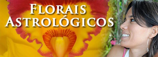 florais joel aleixo