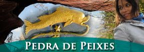 pedra do signo de peixes