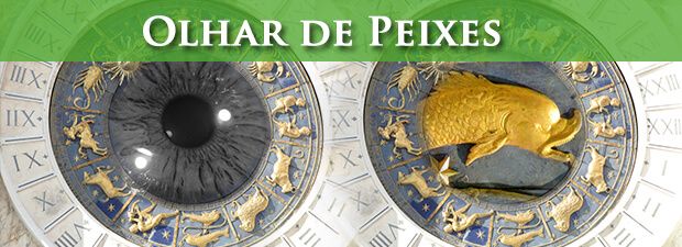 olhar de peixes