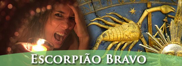 Escorpião louco